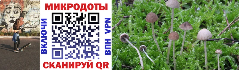 Купить где  Таштагол  Псилоцибиновые грибы прущие грибы 